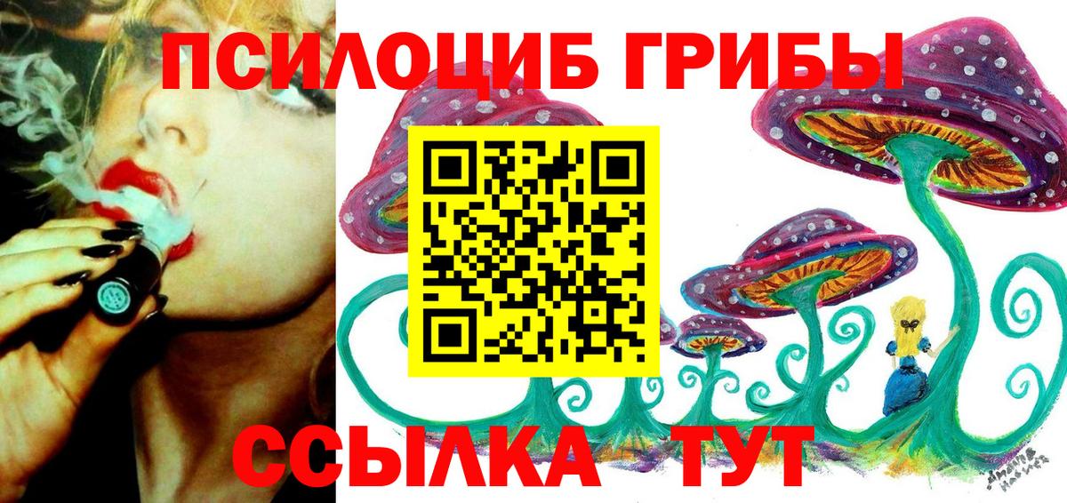 Галлюциногенные грибы MAGIC MUSHROOMS Махачкала