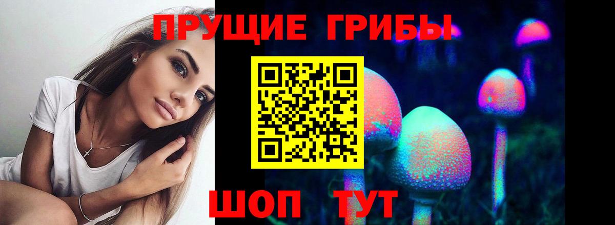 Махачкала  Галлюциногенные грибы мухоморы  Вход с VPN 